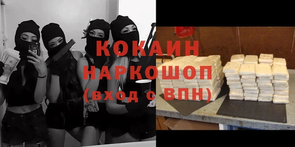 прущий лед Алзамай